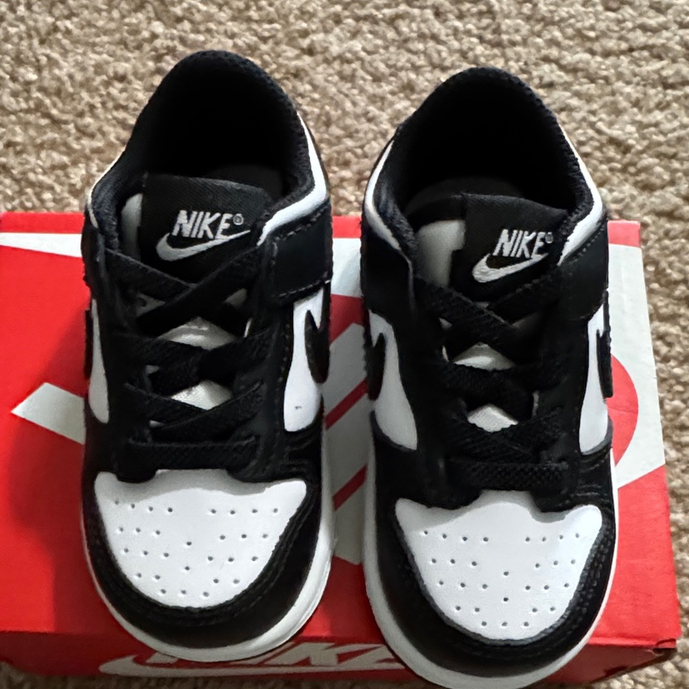 Baby Nike Dunk Low Sneakers, 5C